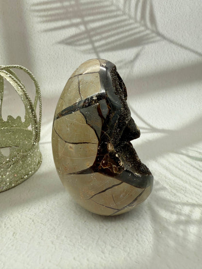 Septarie Ei mit Druse | B-Ware