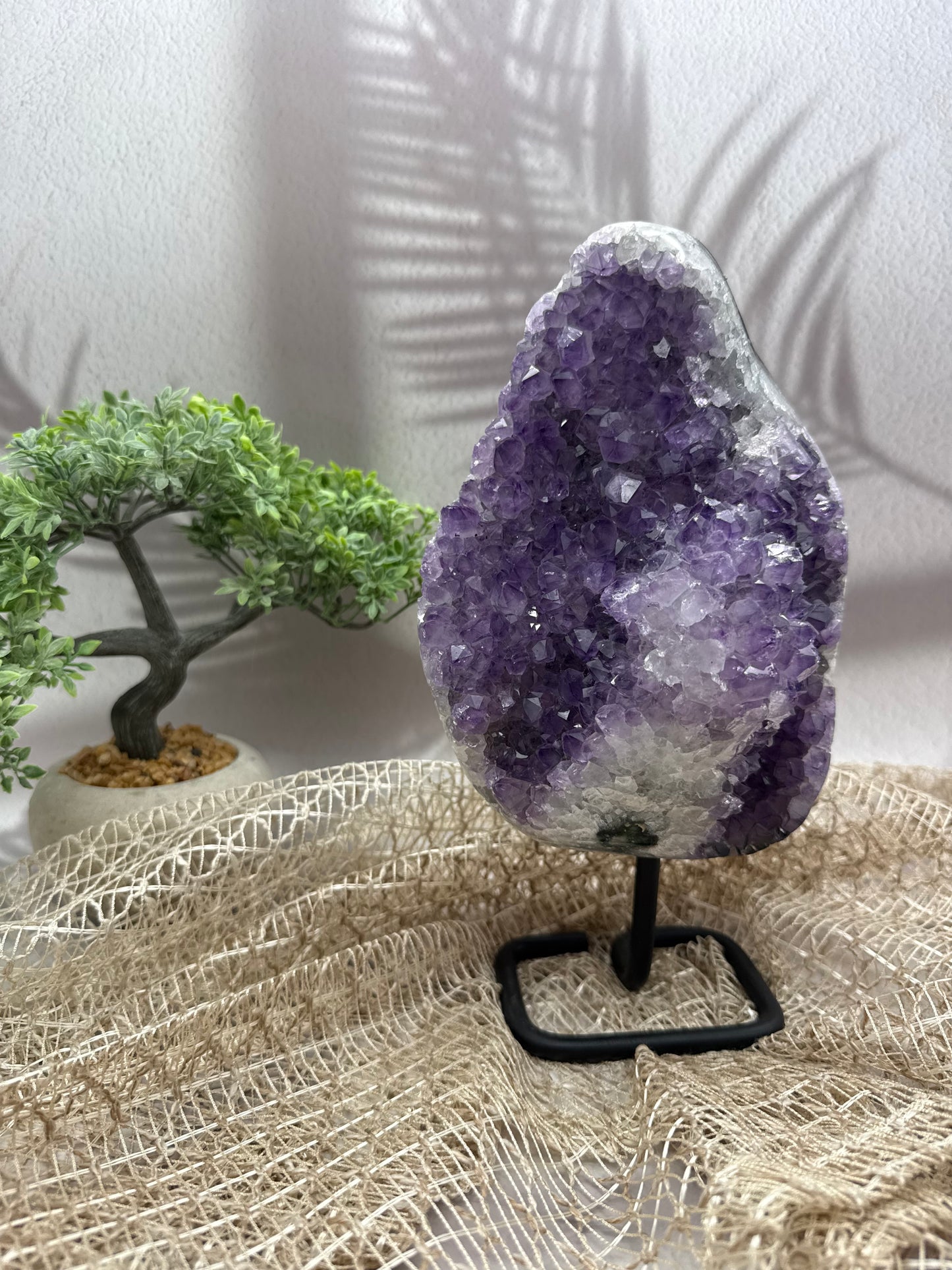 Amethyst auf Ständer - III - 3kg