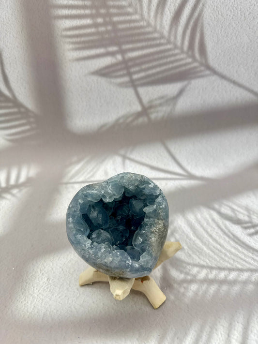 Coelestin Drusen Herz II