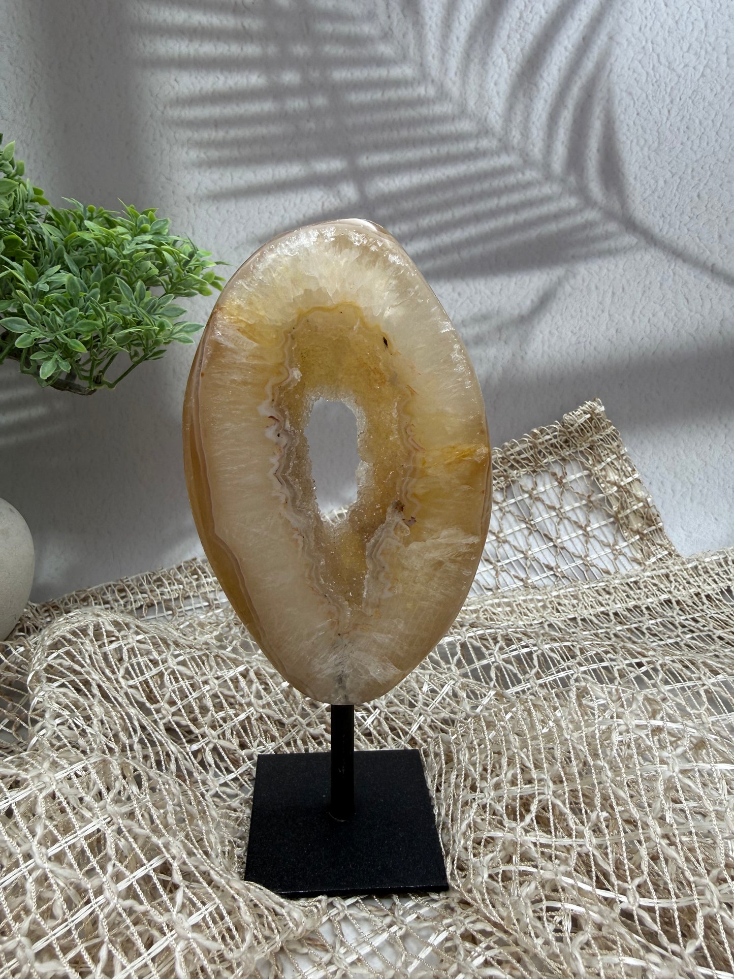 Achat auf Ständer - IV