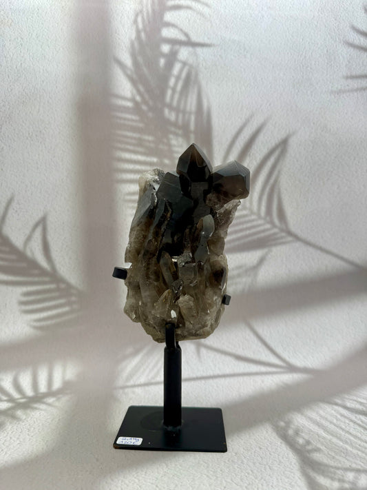 Rauchquarz auf Ständer 4