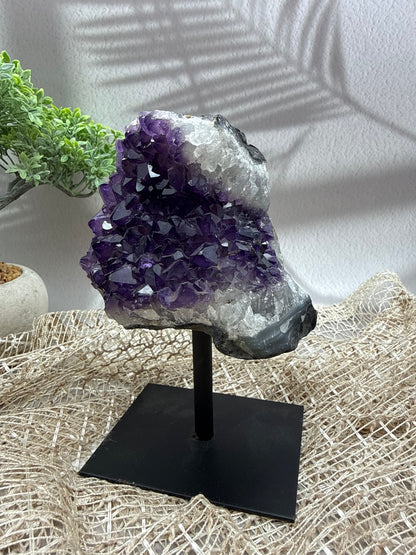Sibirischer Amethyst auf Ständer - 5