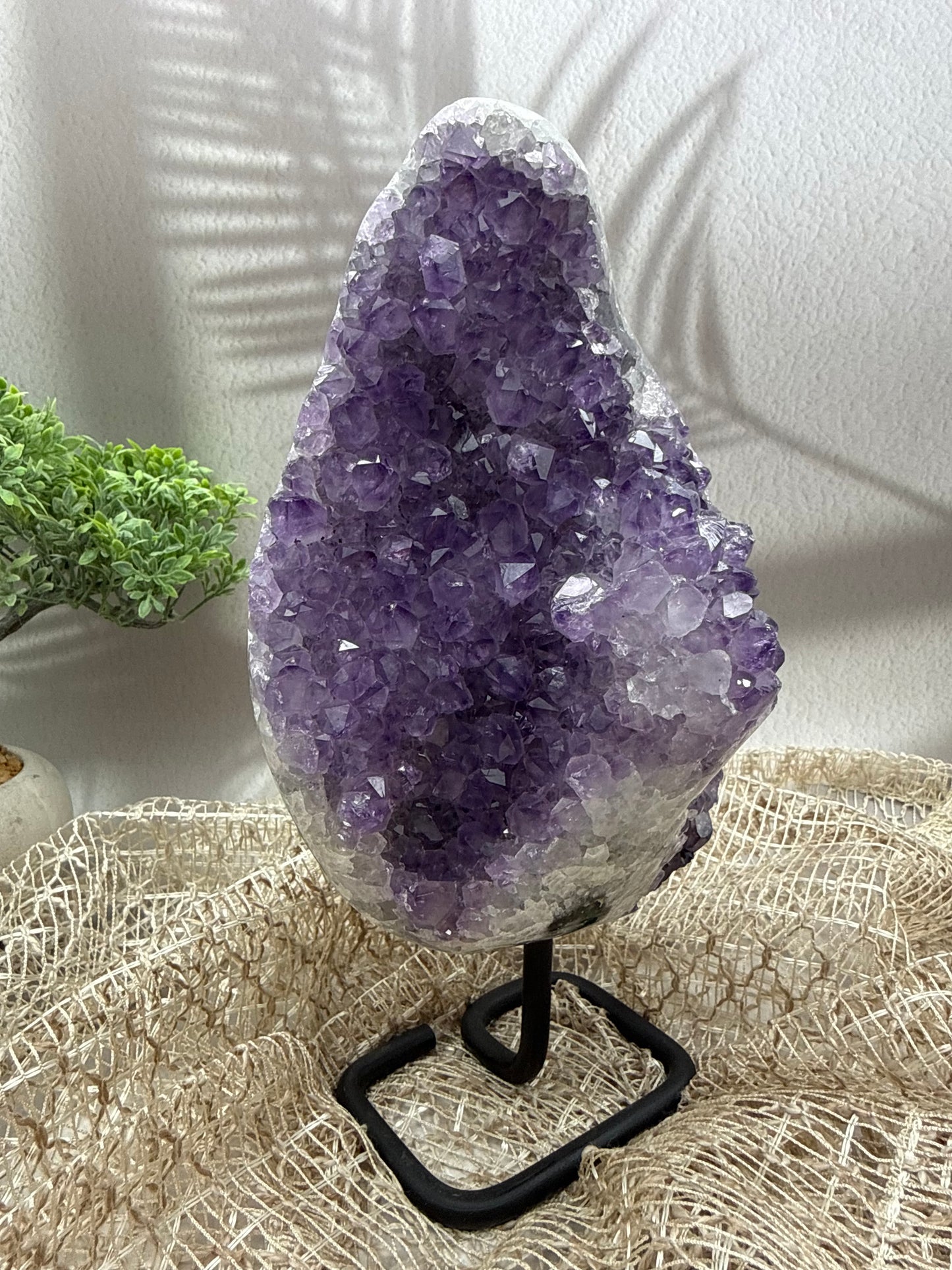 Amethyst auf Ständer - III - 3kg