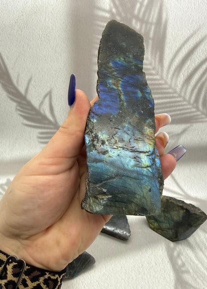 Labradorit Stücke poliert