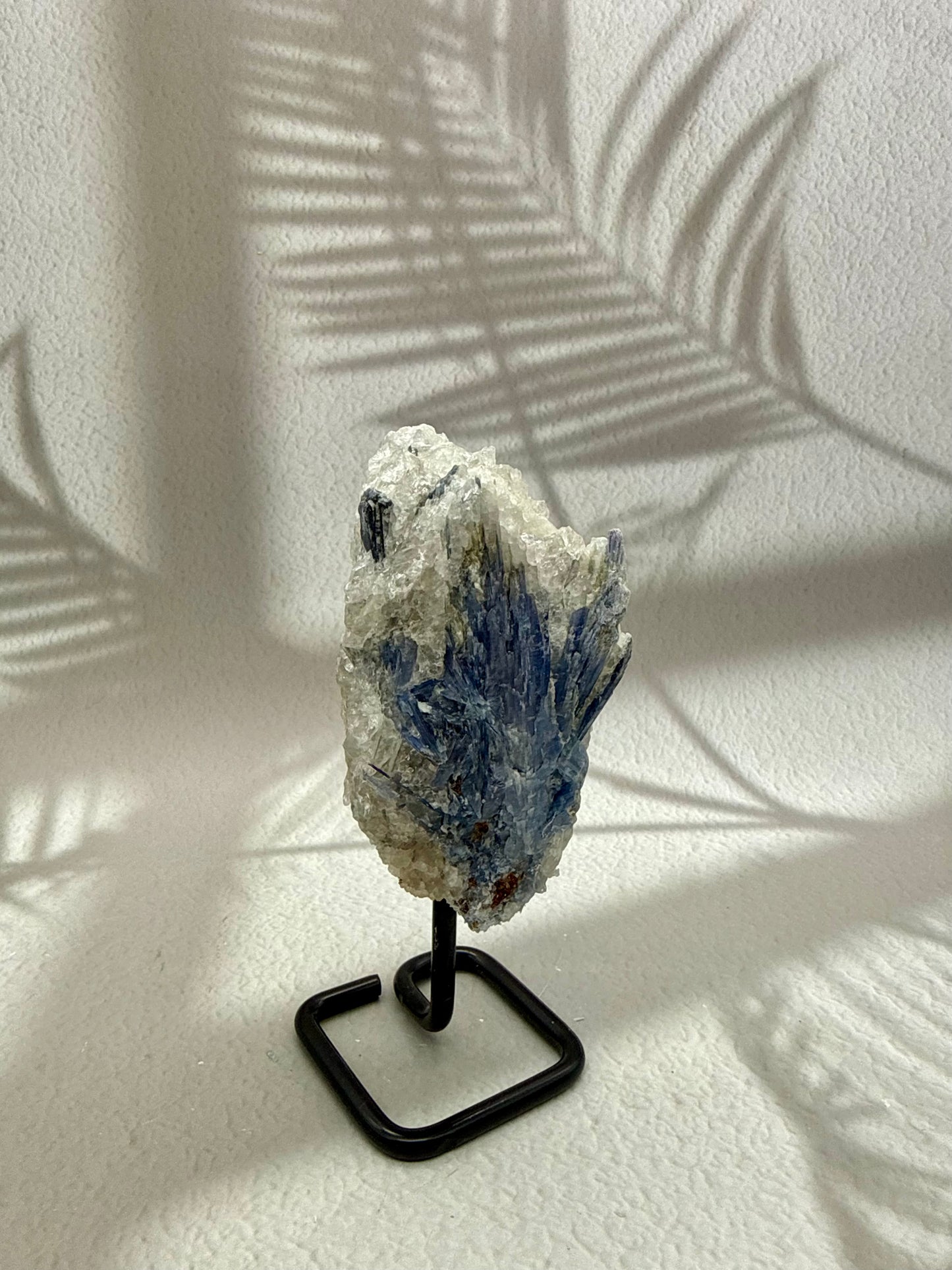 Blauer Kyanit VIII