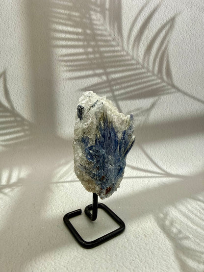 Blauer Kyanit VIII