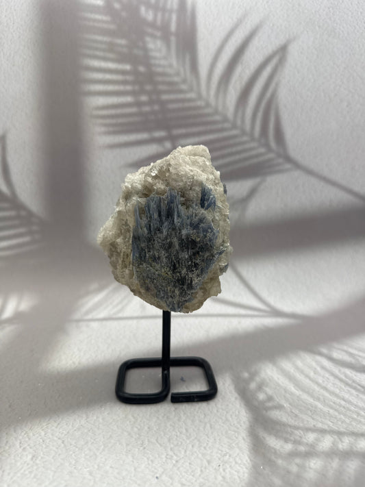 Blauer/Schwarzer Kyanit auf Ständer XII