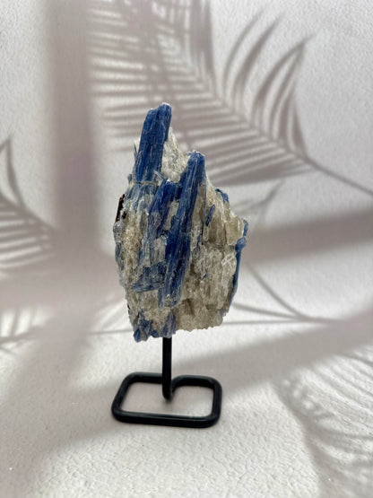 Blauer Kyanit VI | B-Ware