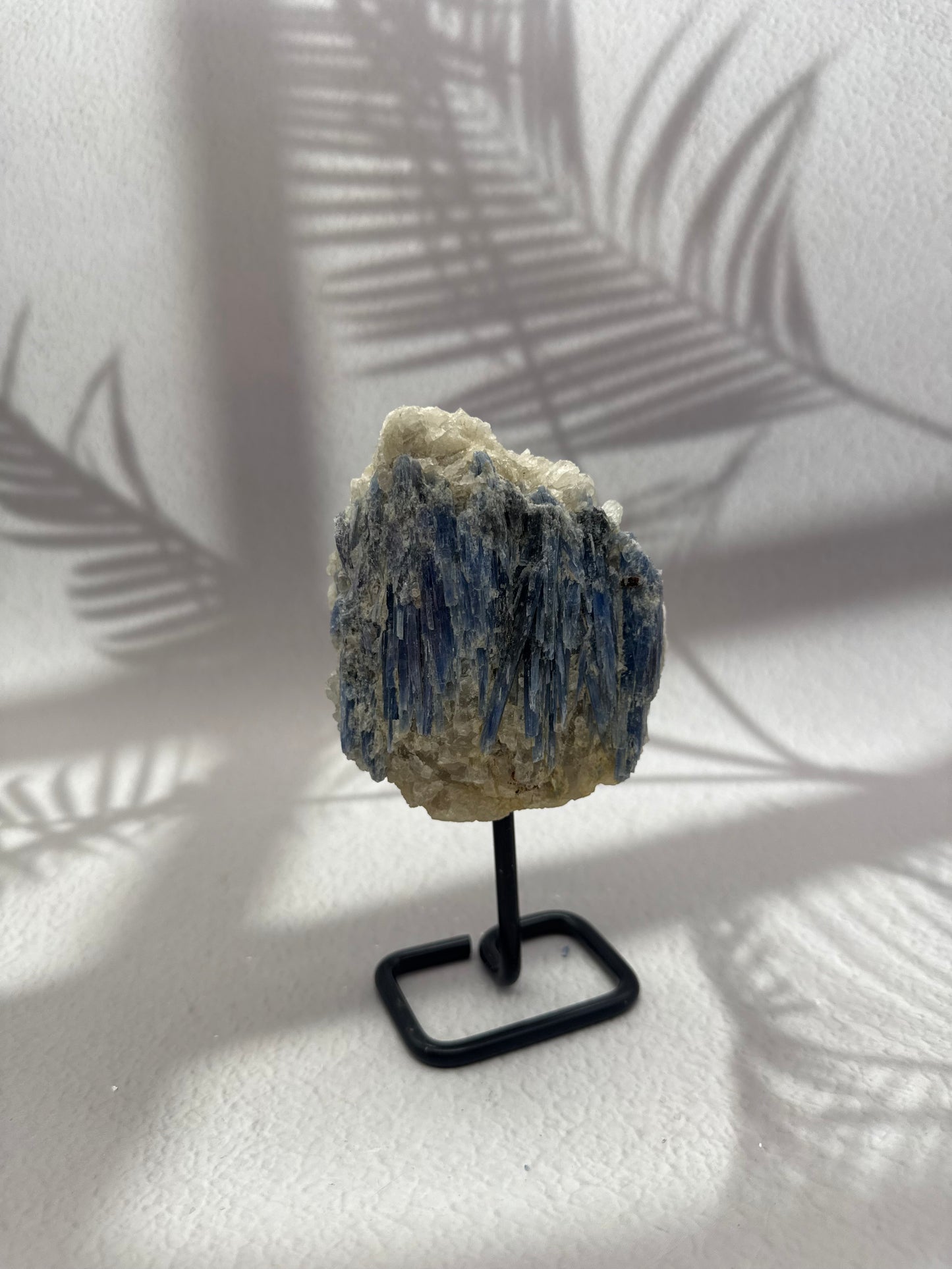 Blauer/Schwarzer Kyanit auf Ständer XII