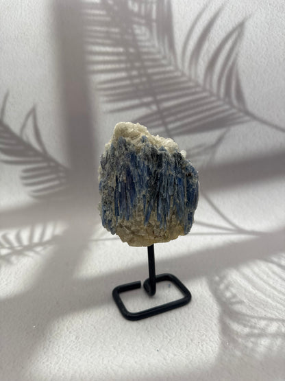 Blauer/Schwarzer Kyanit auf Ständer XII