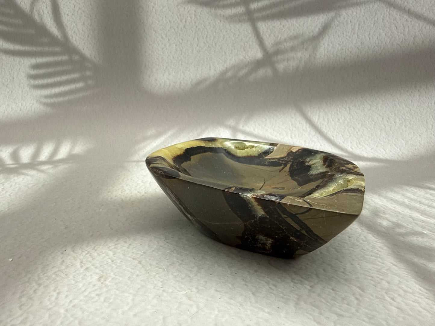 Septarie Schale mit Druse