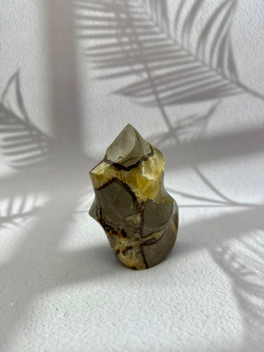 Septarie - Drachenstein Flamme III