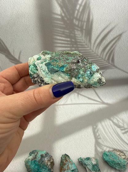 Chrysokoll Rohstücke Rarität