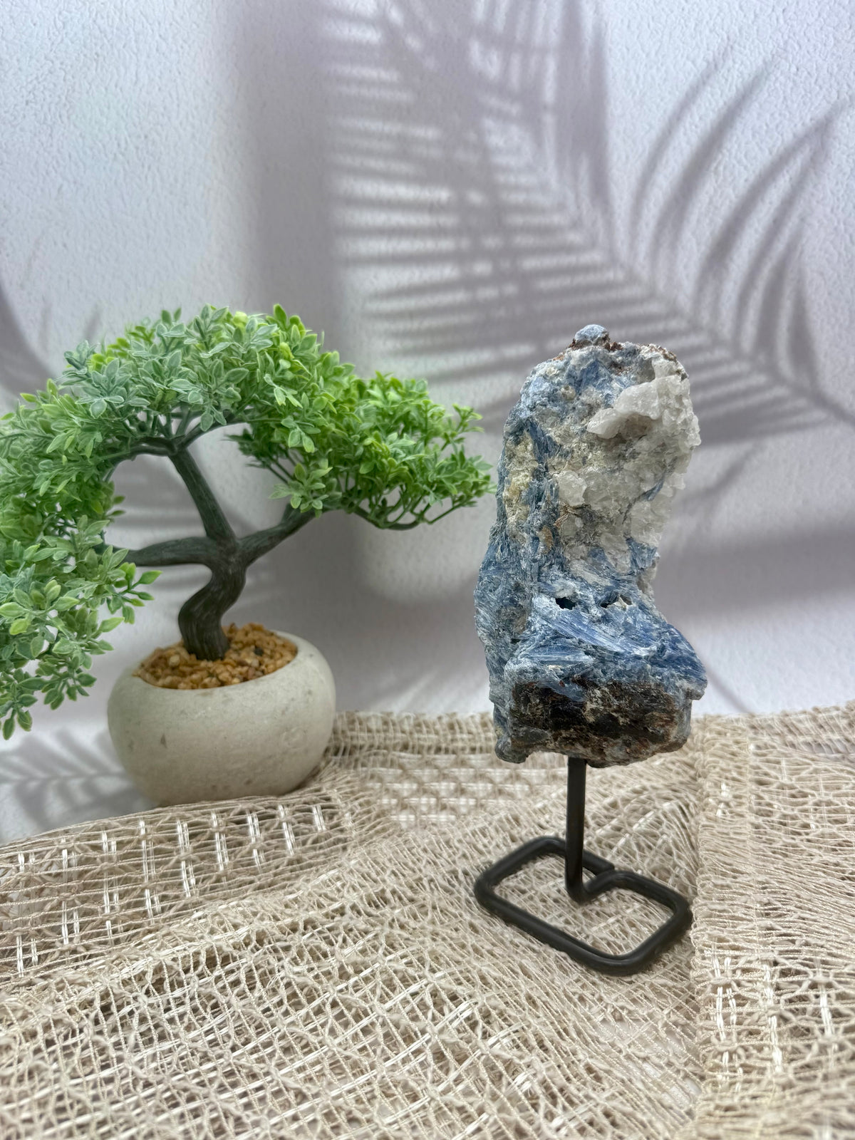 Blauer Kyanit auf Ständer I