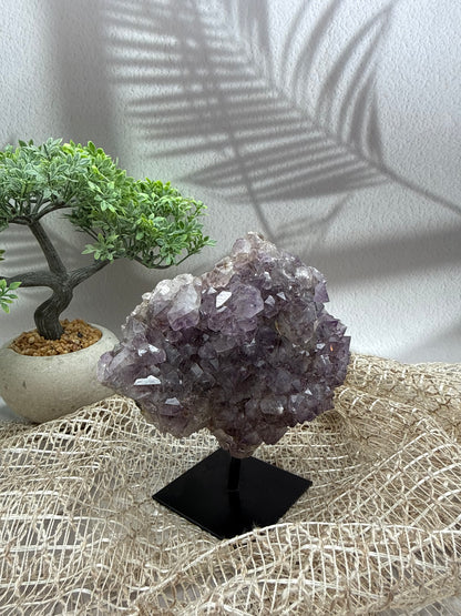 Amethyst auf Ständer - 2