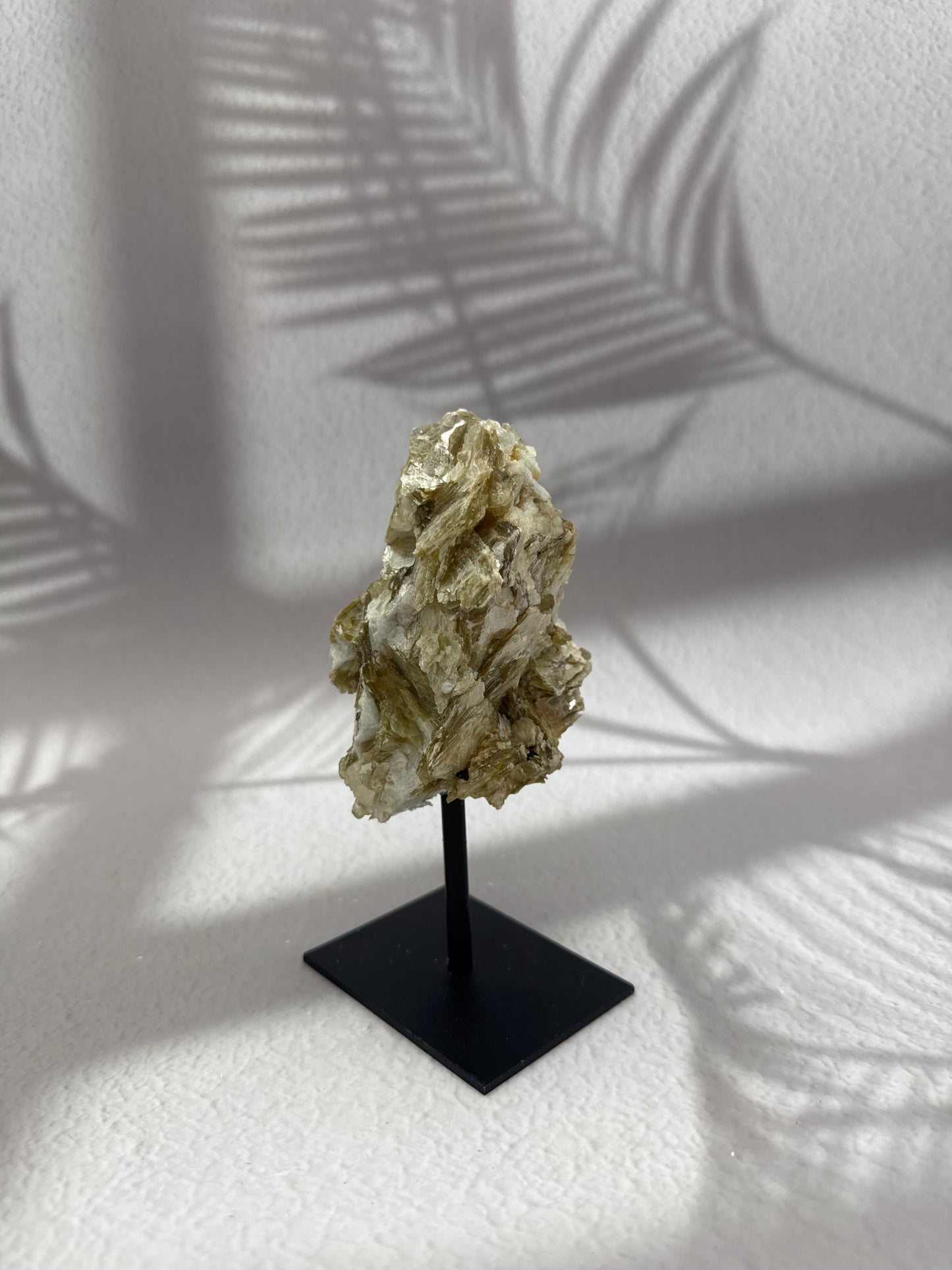 Golden Micca - Glimmer auf Ständer III