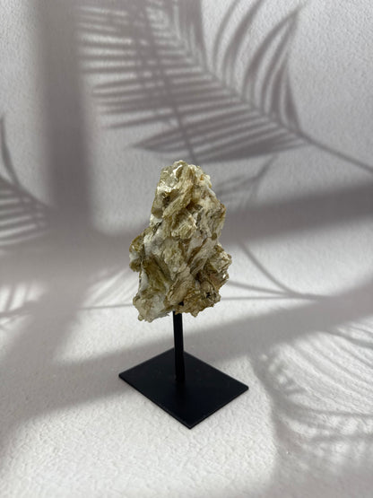 Golden Micca - Glimmer auf Ständer III