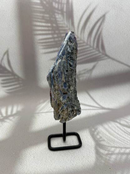 Blauer Kyanit V | B-Ware