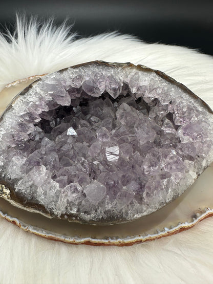Amethyst Drusen Stück