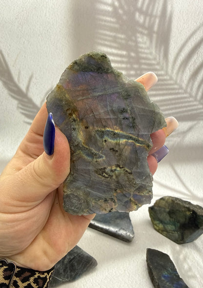 Labradorit Stücke poliert