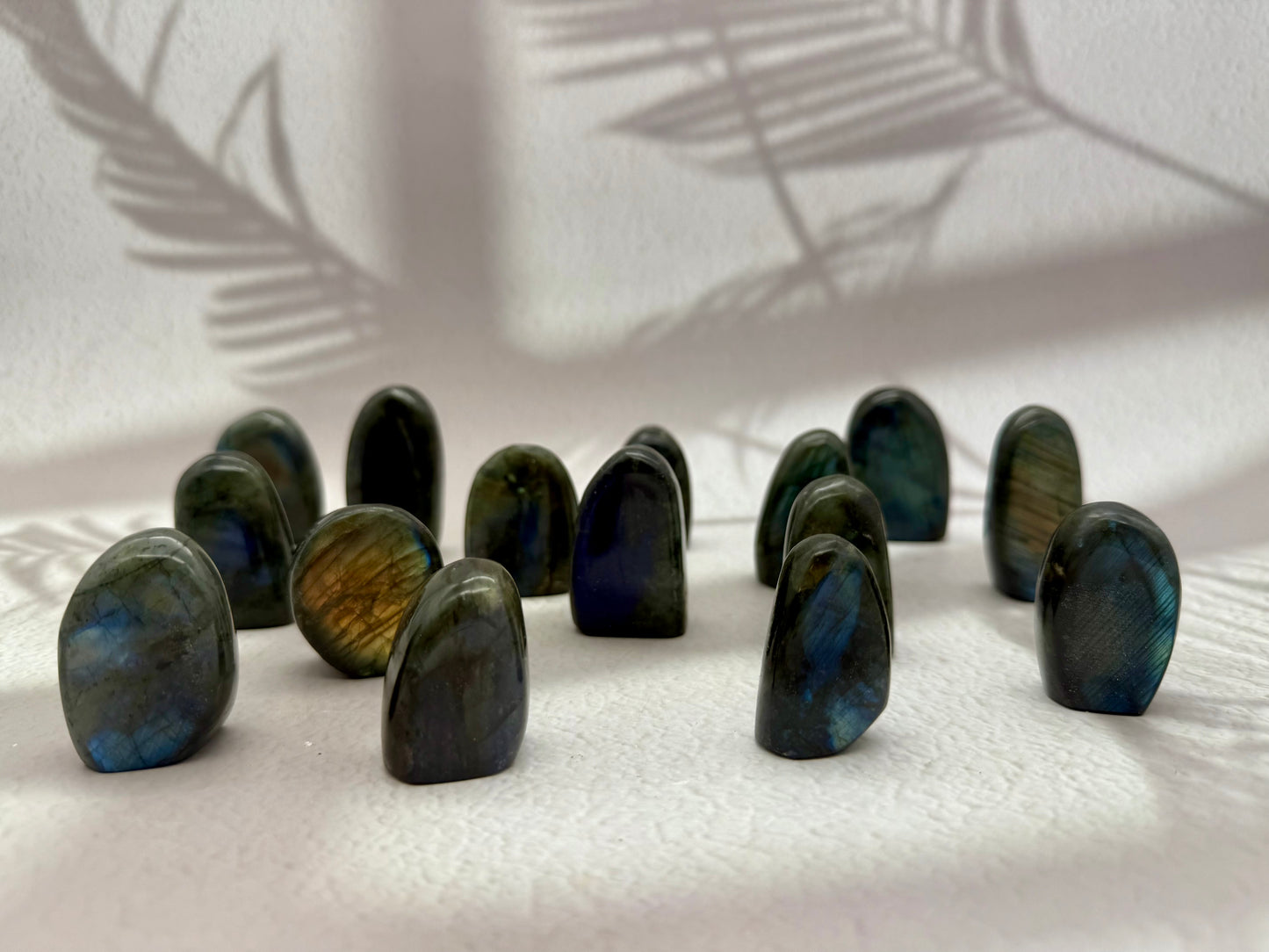 Labradorit mini Freiformen