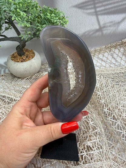 Achat auf Ständer - V