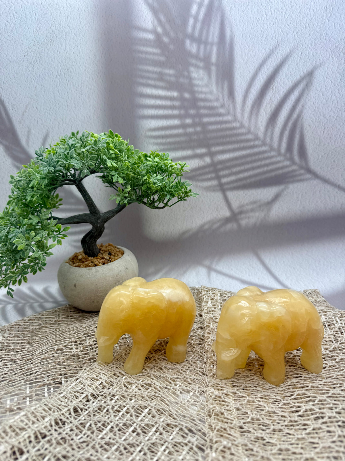 Orangencalcit Elefant - II