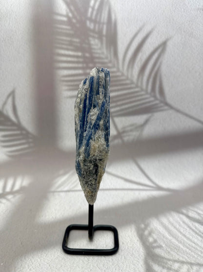 Blauer Kyanit I