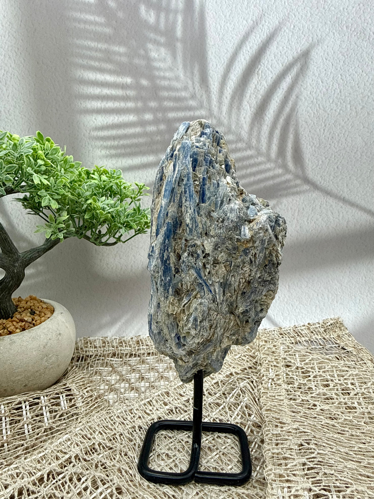 Blauer Kyanit auf Ständer II