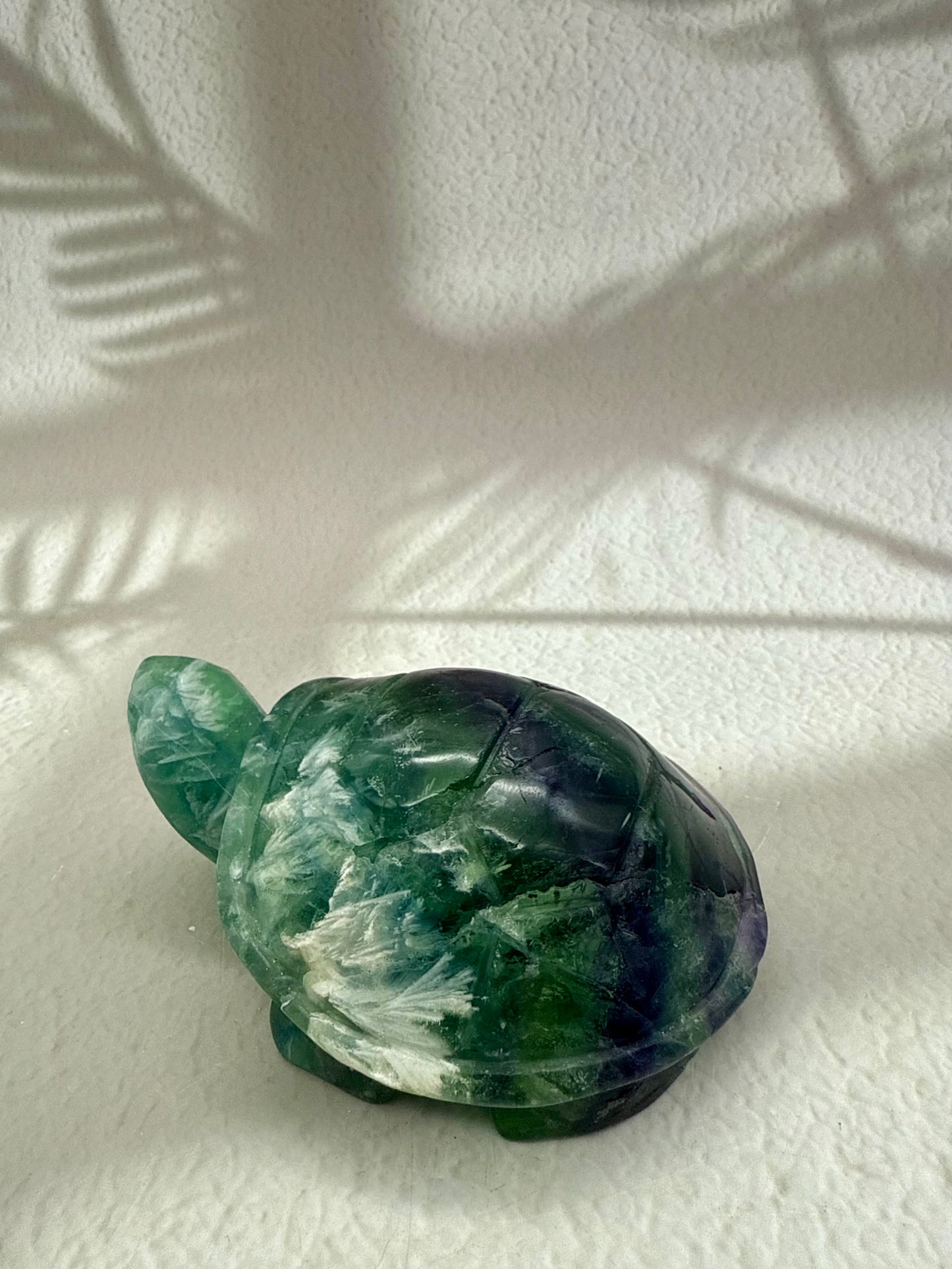 Fluorit Schildkröte