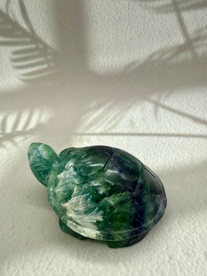 Fluorit Schildkröte