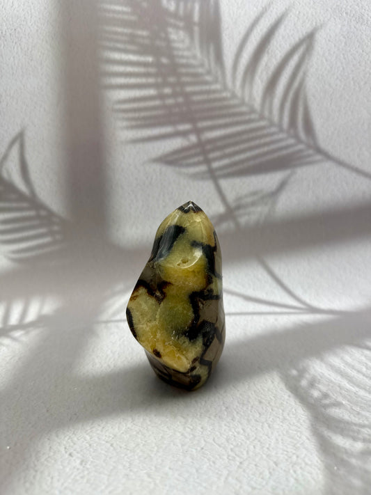 Septarie - Drachenstein Flamme II