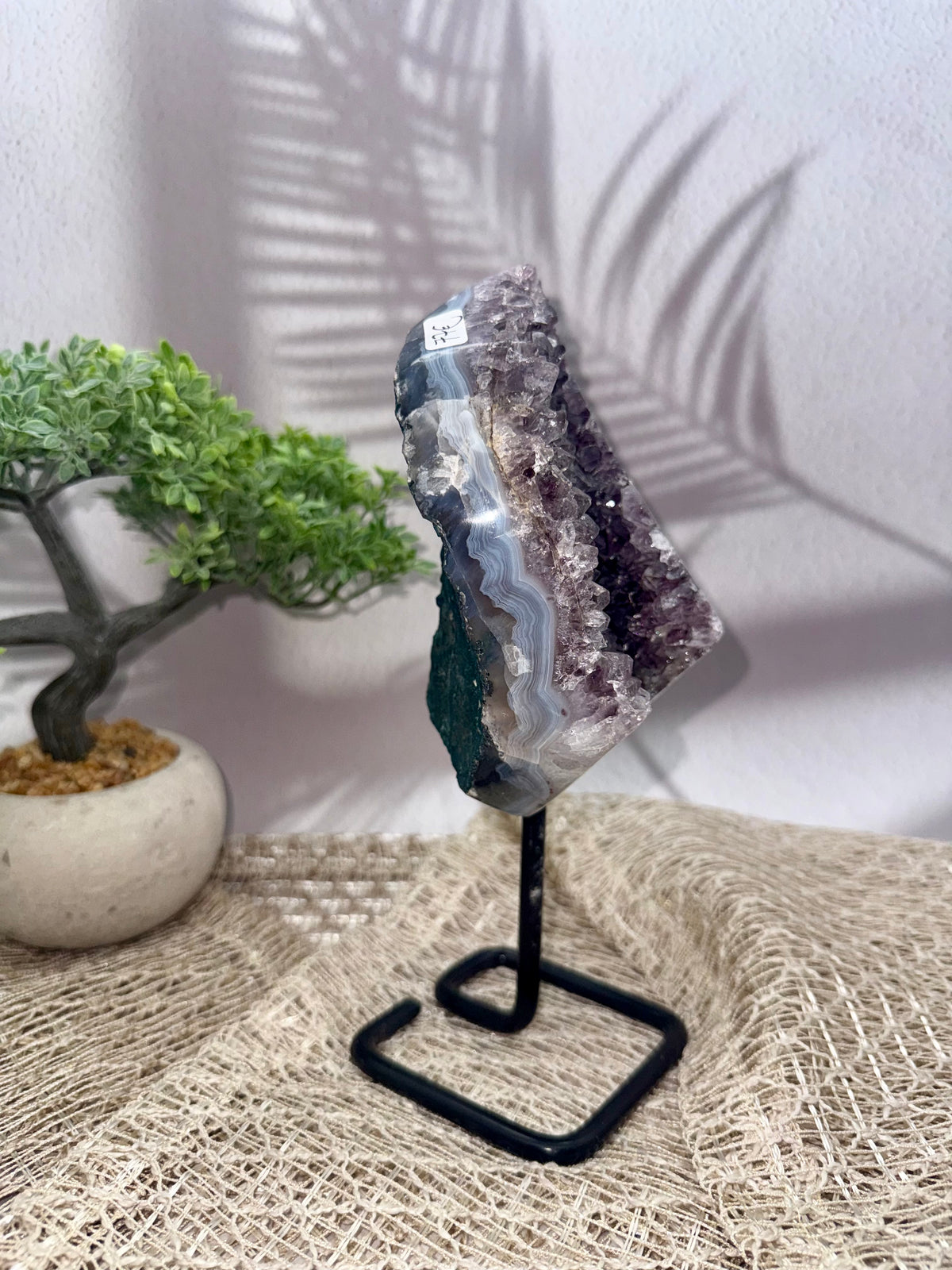 Amethyst x Achat Druse