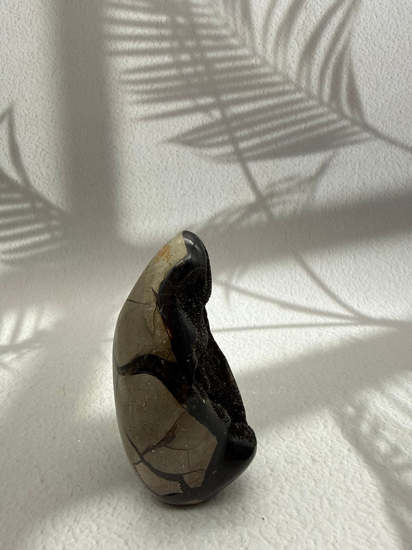 Septarie Drusen Freiform III