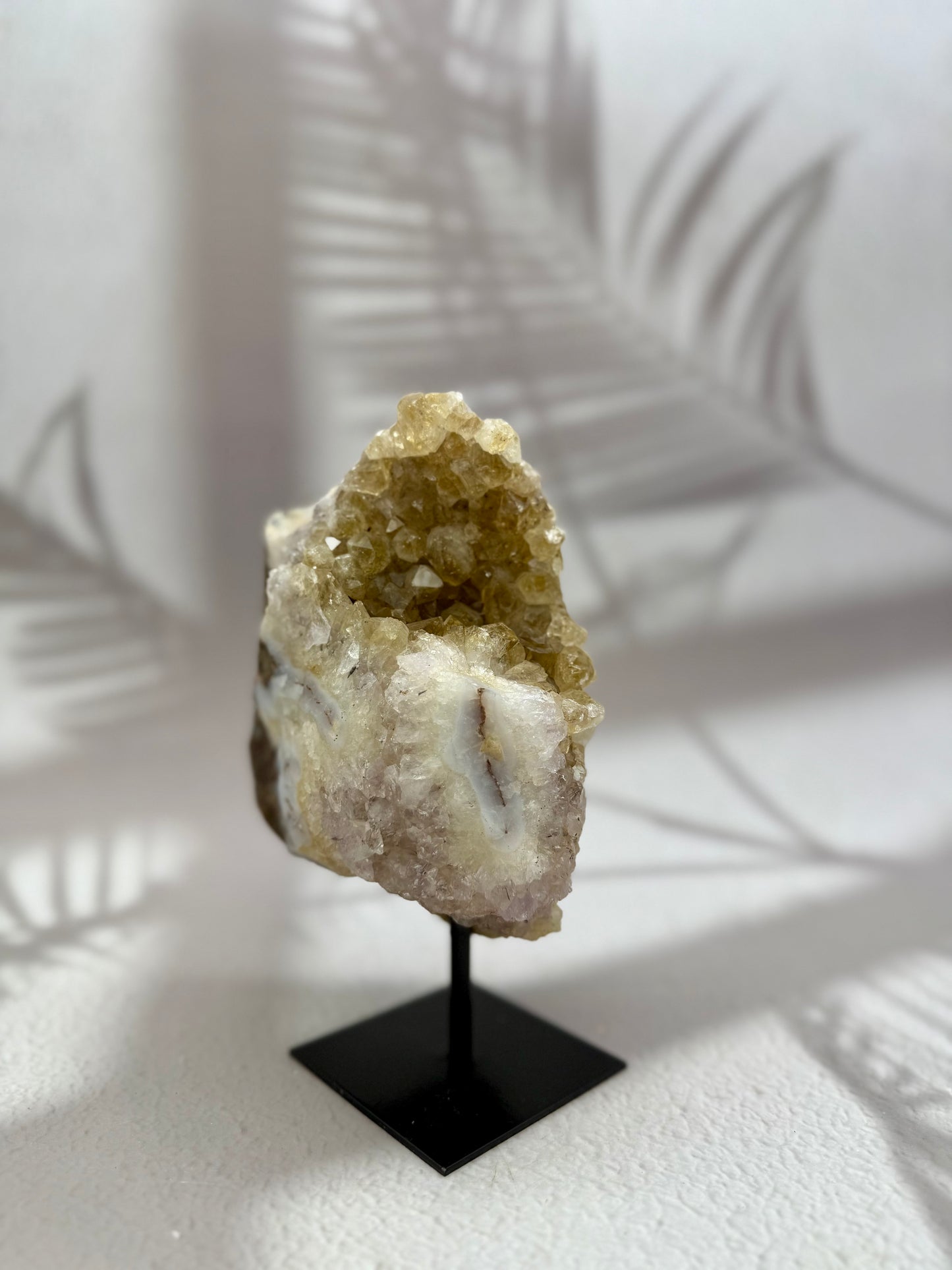 Gebrannter Citrin auf Ständer