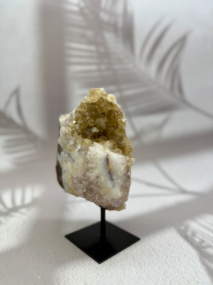 Gebrannter Citrin auf Ständer