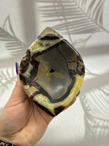 Septarie Schale mit Druse