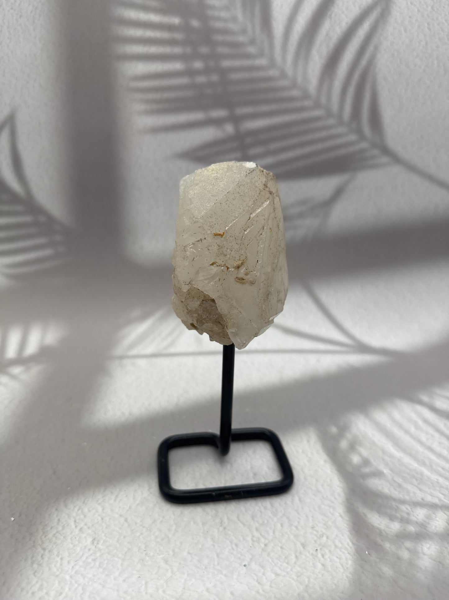 Krokodilquarz auf Ständer IV