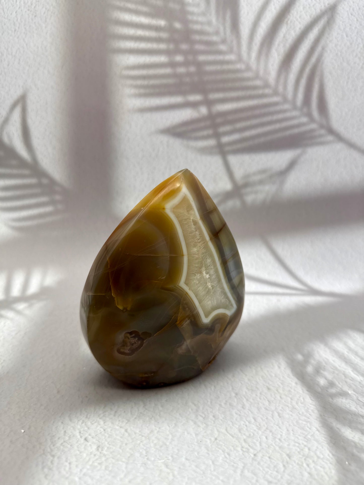 Achat Freiform - 1,1kg