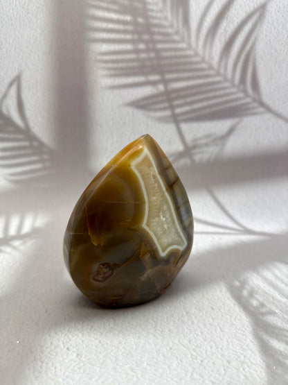 Achat Freiform - 1,1kg