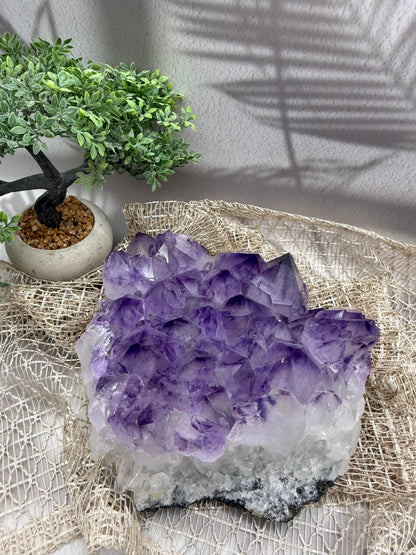 Amethyst Cluster - 5,3 kg - Ladecluster