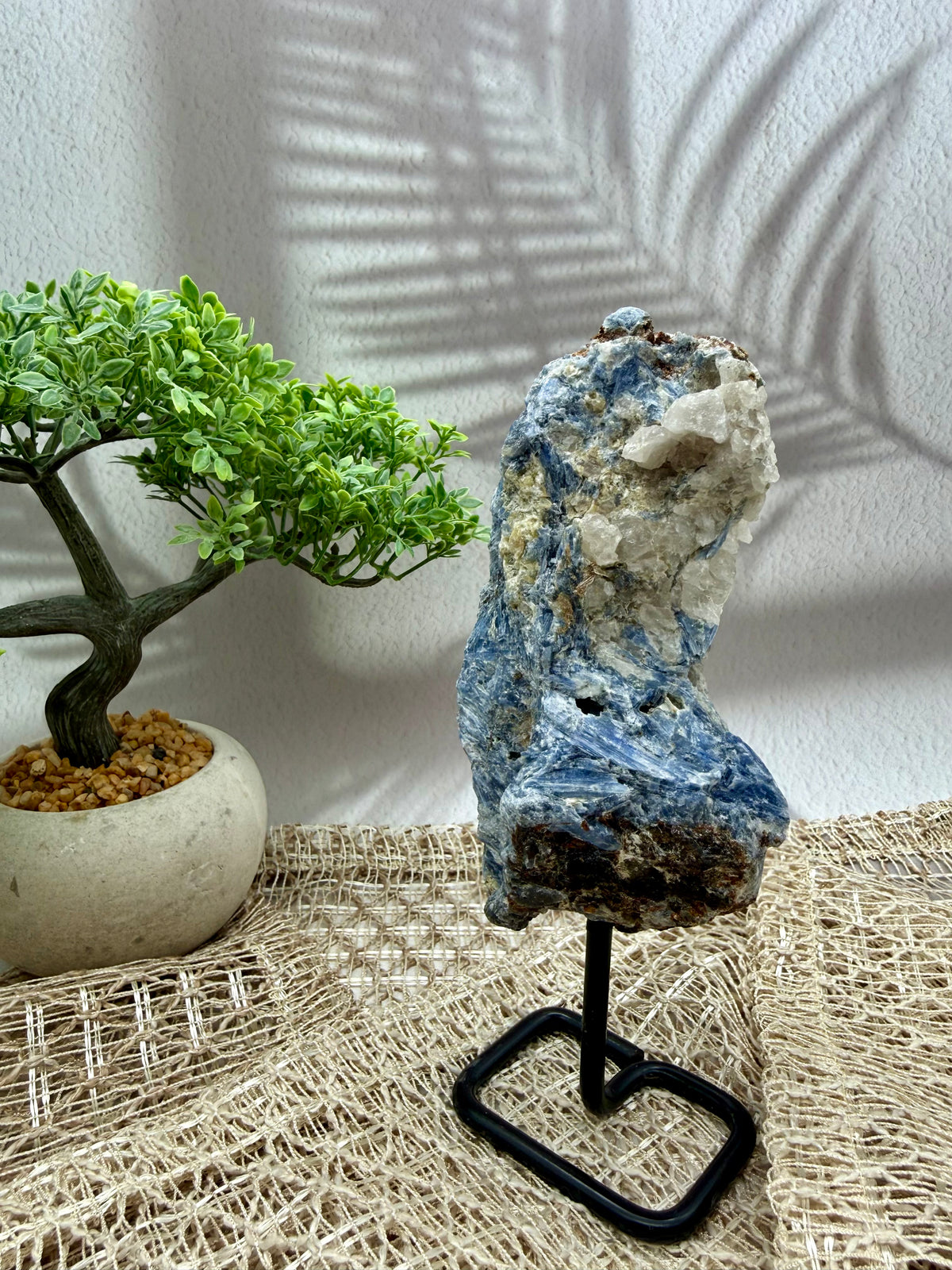 Blauer Kyanit auf Ständer I