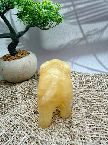 Orangencalcit Elefant - II