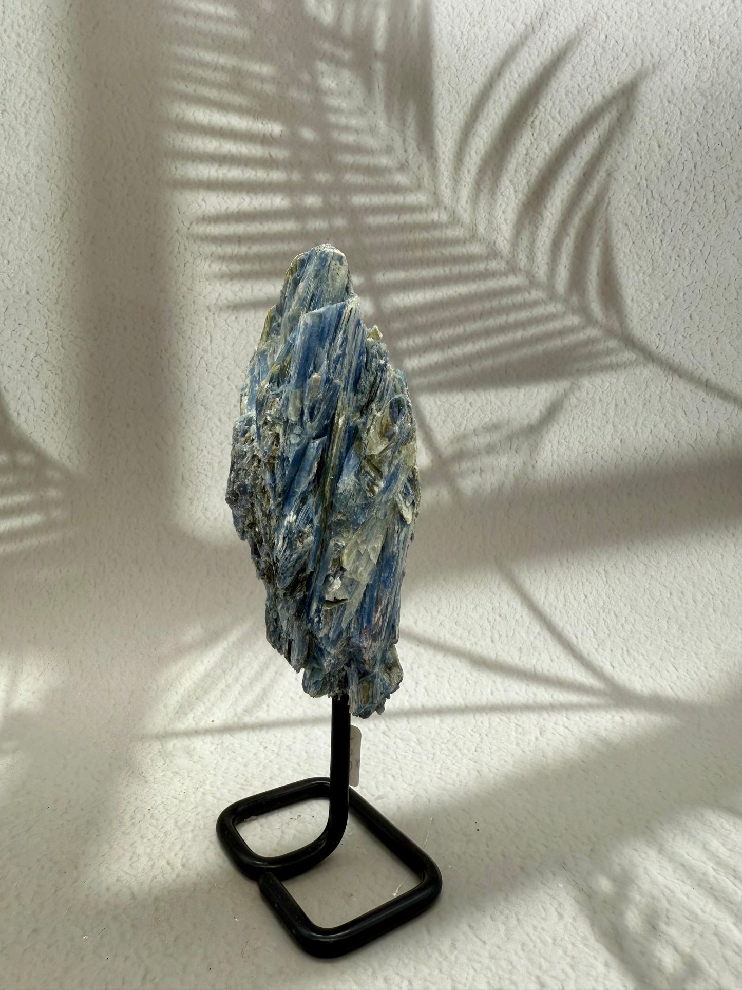 Blauer Kyanit auf Ständer