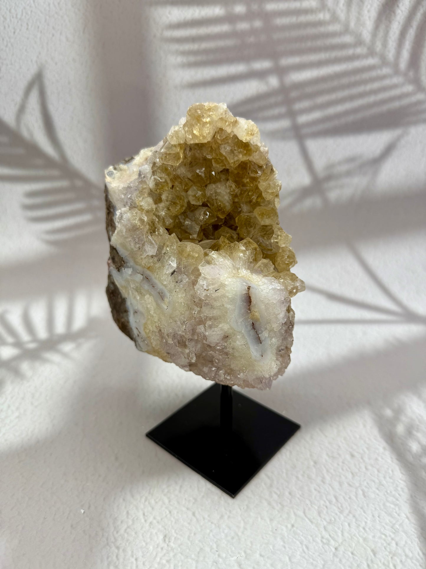 Gebrannter Citrin auf Ständer