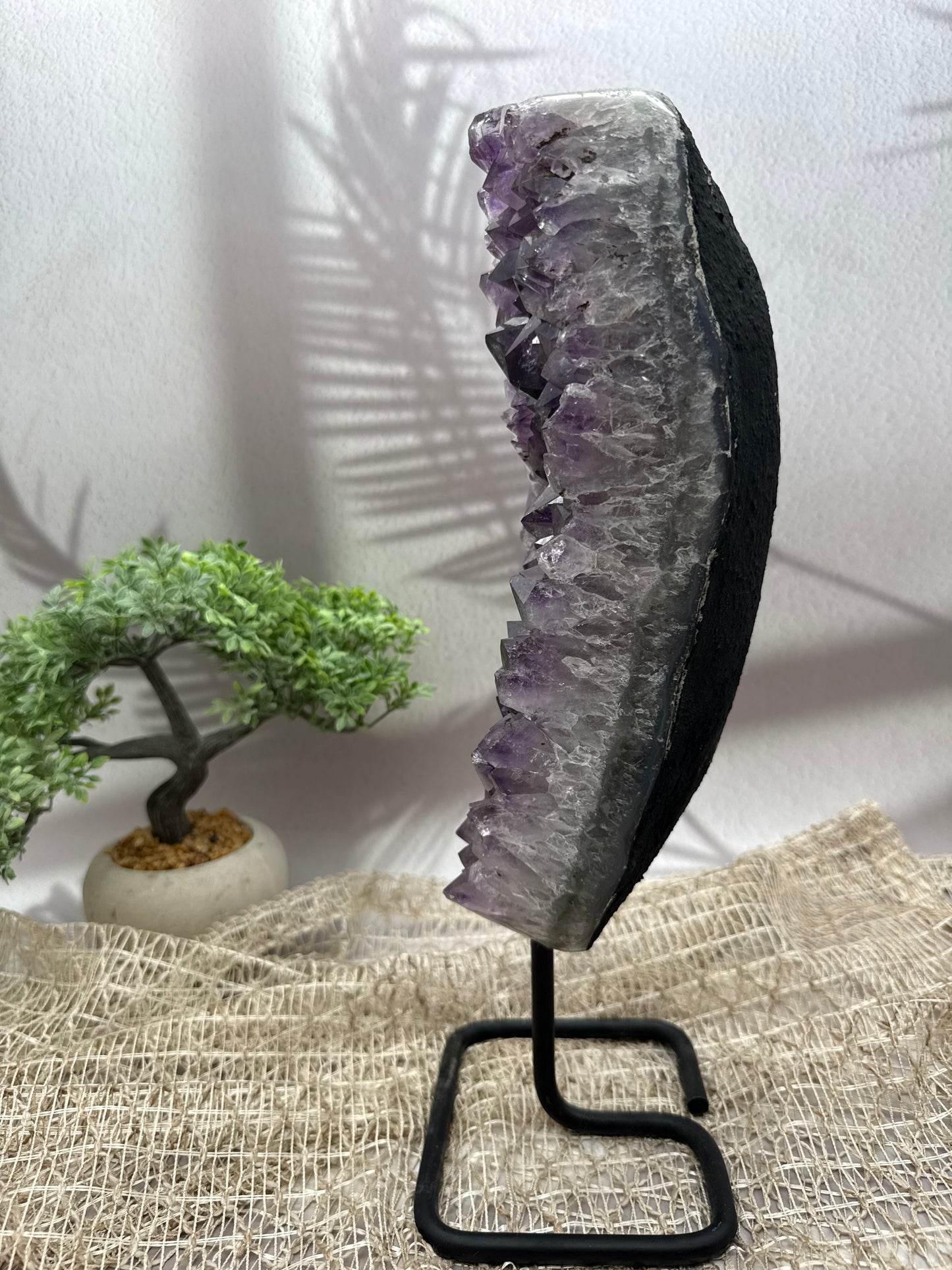 Amethyst auf Ständer - I - 3,1kg