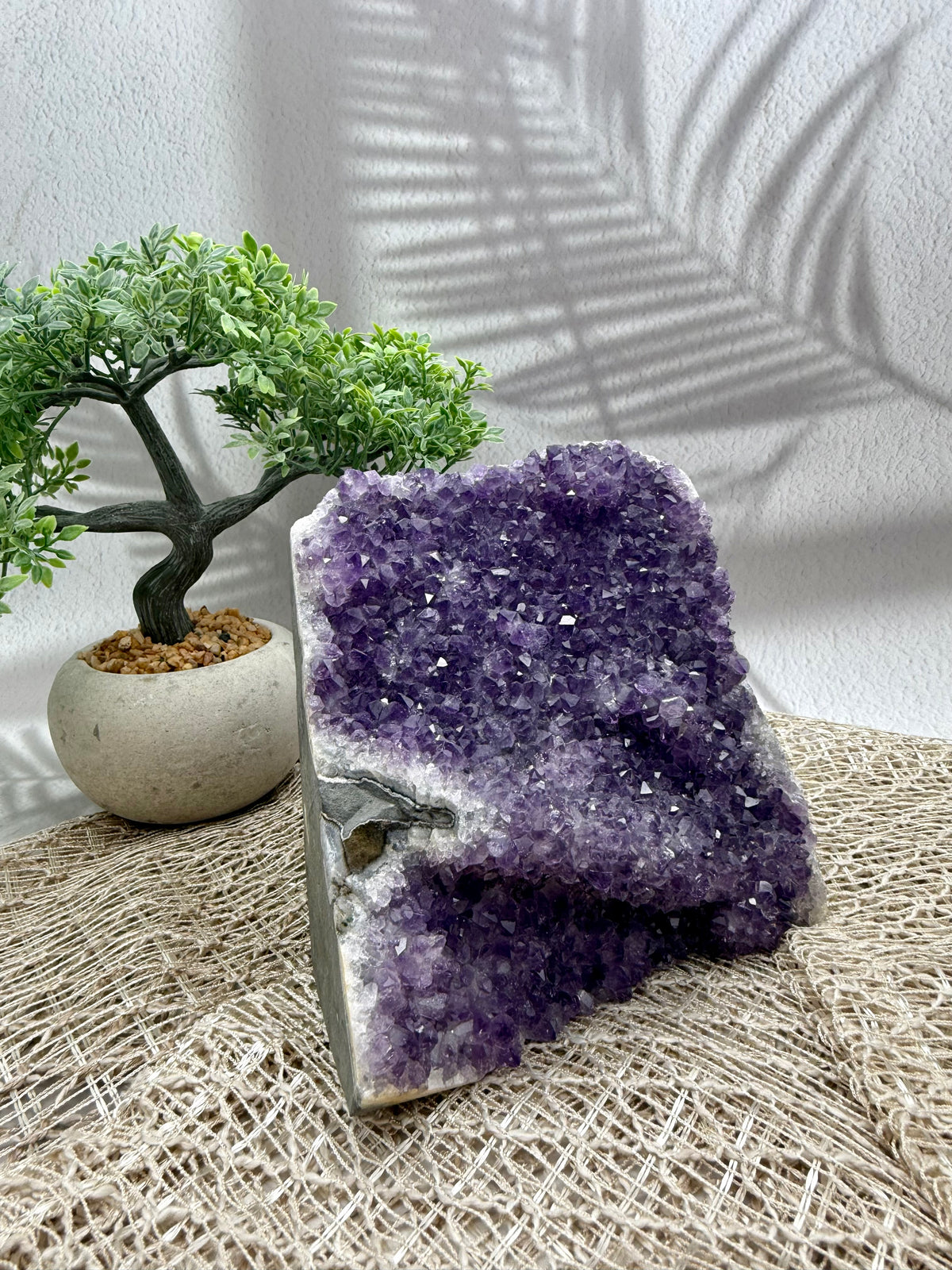 Amethyst Druse lila - groß I