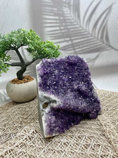 Amethyst Druse lila - groß I