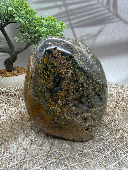Ocean Jaspis Freiform