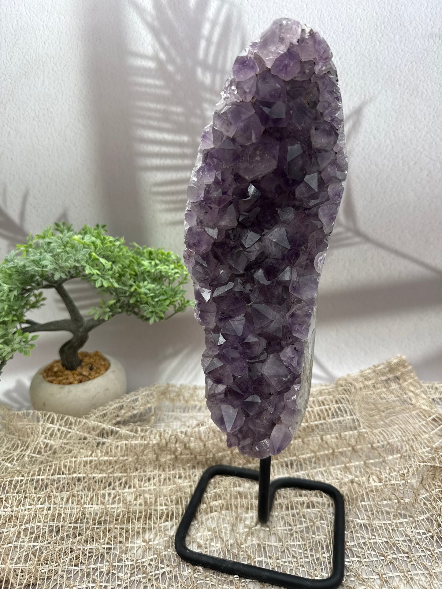 Amethyst auf Ständer - I - 3,1kg